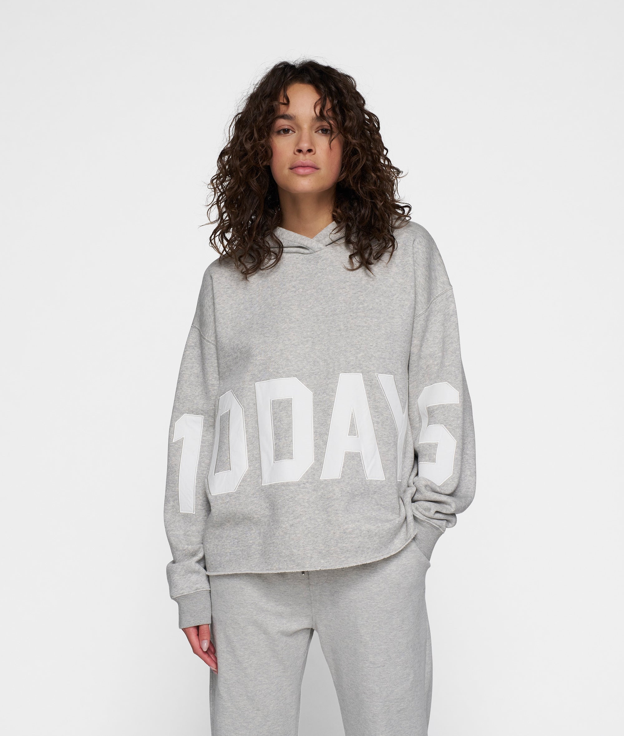 ARIES Hooded Sweat グレー フーディ L ARIES Hooded Sweat グレー フーディ L トップス