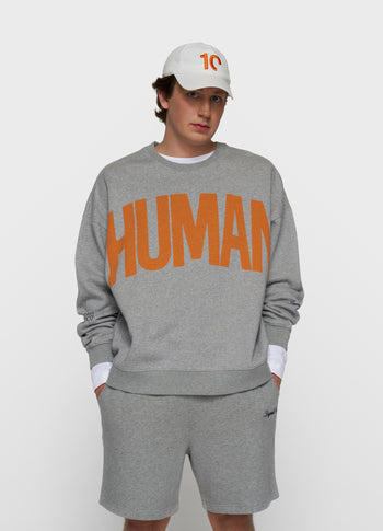 oversized sweater | light grey melee