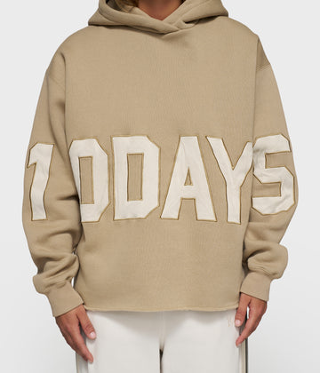 statement logo hoodie | earth