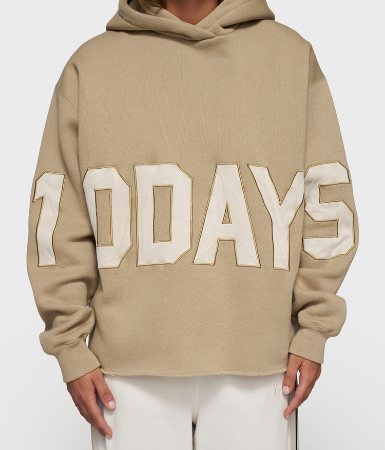 statement logo hoodie | earth