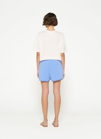 beach shorts stripe | blue bell