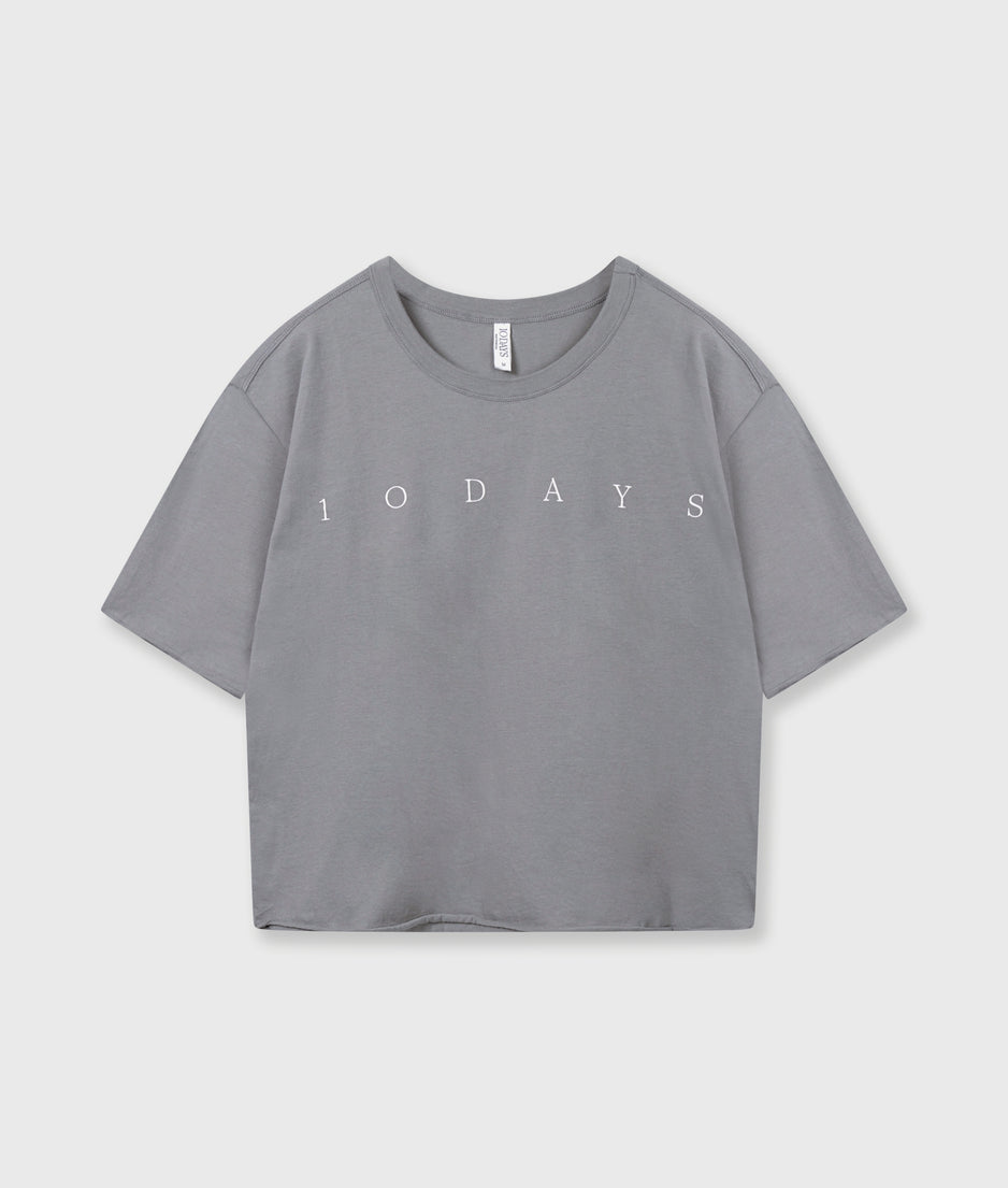 short sleeve tee logo | light graphite