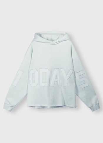 hoodie logo patch | sea foam
