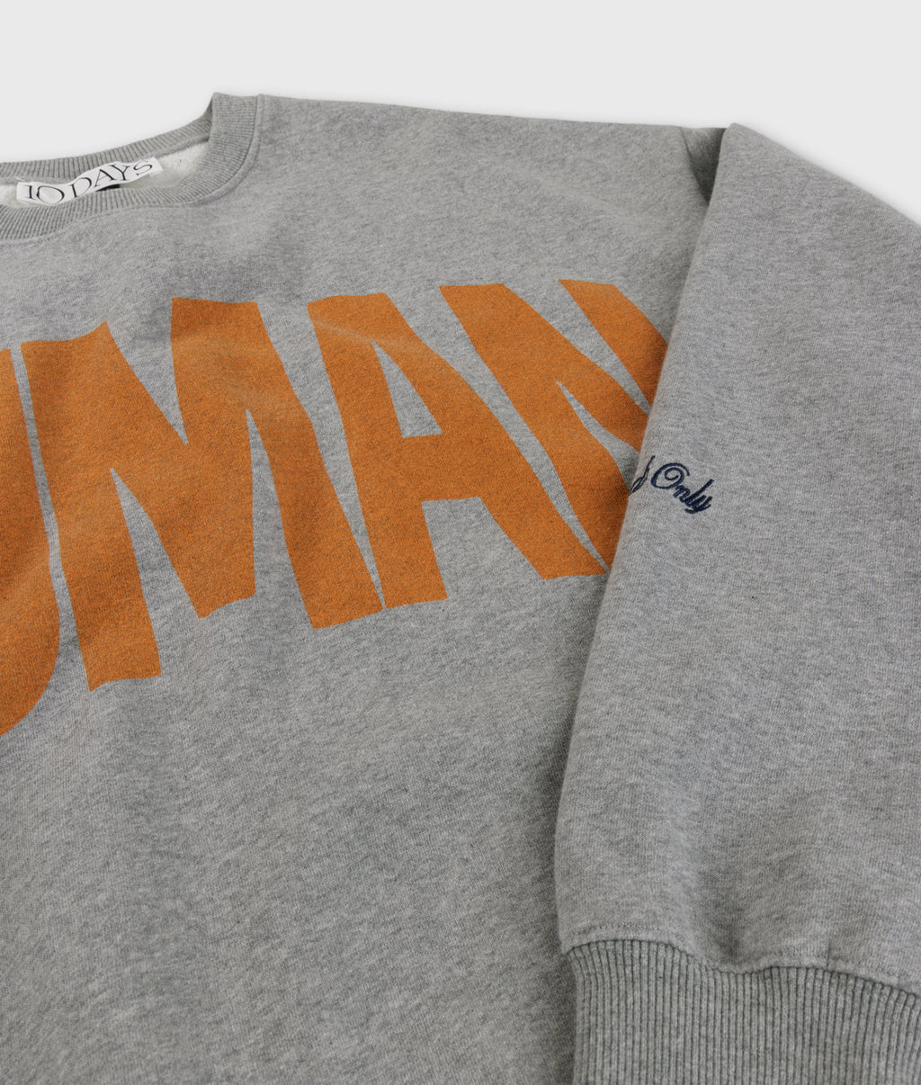 oversized sweater | light grey melee